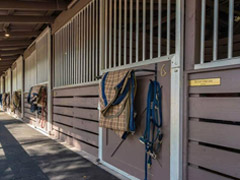 Close-up of Horse Stables