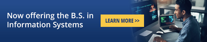 IT banner